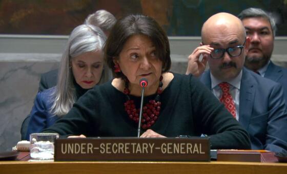 Заместитель Генерального секретаря ООН Розмари Дикарло выступает на заседании Совета Безопасности ООН.